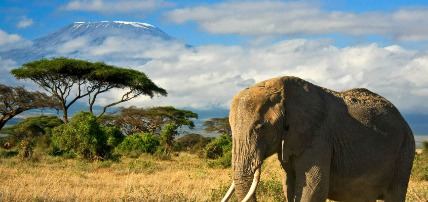 Golf-in-Kenya